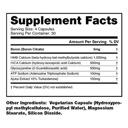 HYDRA NATURAL ANABOLIC SYSTEM